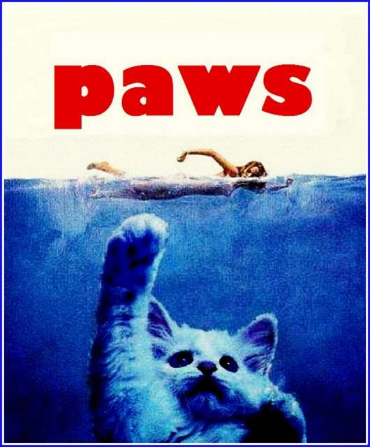 Spoof Movie JAWS Poster Print Cat PAWS by BloominLuvly on Etsy