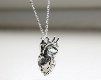 Anatomical Heart Necklace - Real Anatomy Pendant - Lifelike Heart Necklace - Science Necklace - Heart Charm