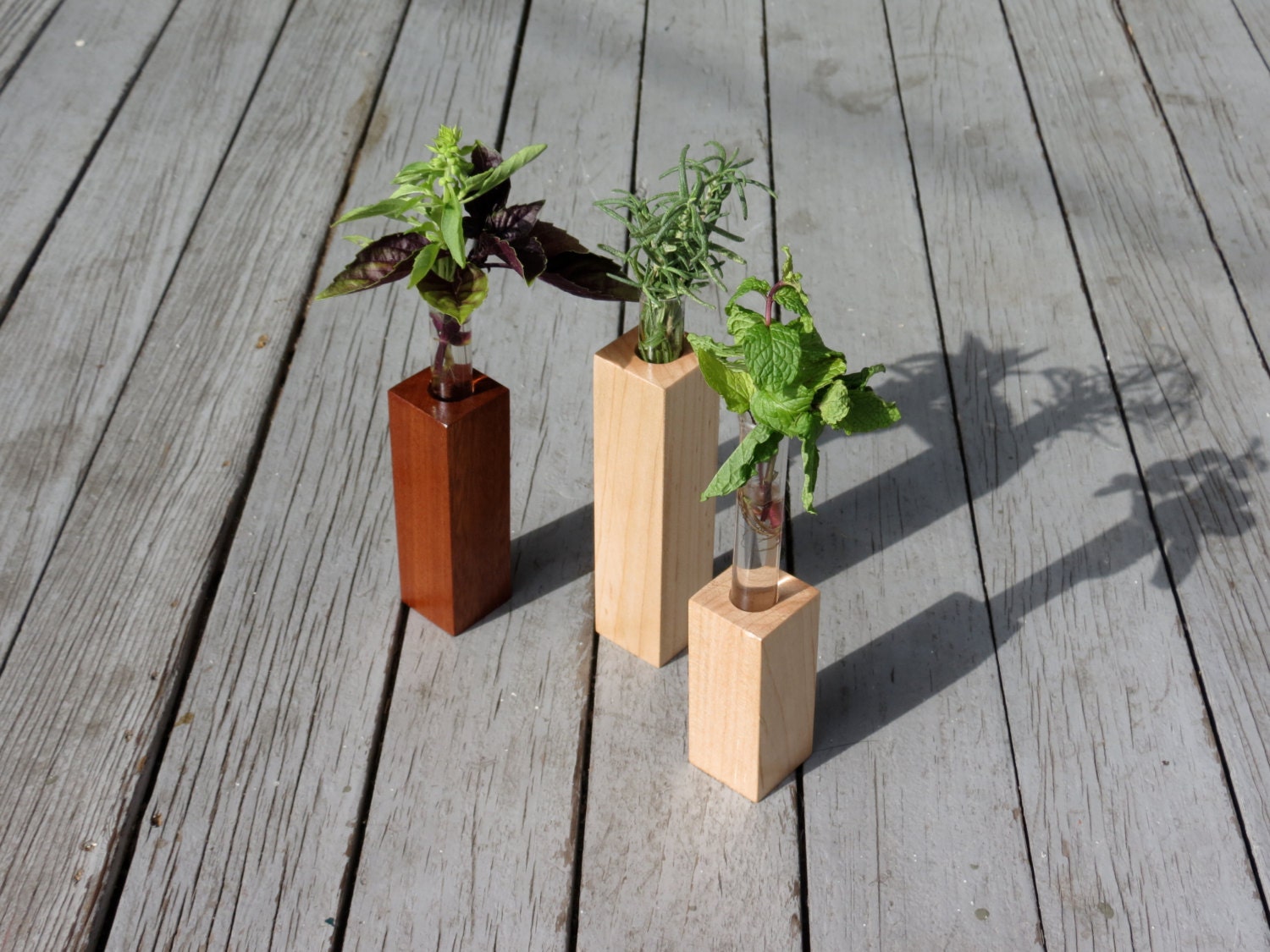 Wooden Herb Vase for Cloning Herb and by SamuelProvenzaStudio