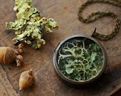 Irish lichen necklace , terrarium locket pendant , living locket , real plant specimen , Irish moss terrarium , nature inspired , woodland