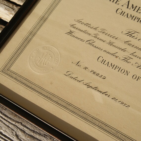 1950s American Kennel Club Champion Framed