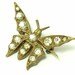 Antique/ vintage / antique Edwardian 1900s brass & paste/ rhinestone insect/ butterfly costume brooch/ pin - jewelry