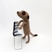 Meerkat pianist, piano player, knitted meerkat playing a knitted piano, knitted keyboard, musician, musical, music, meercat