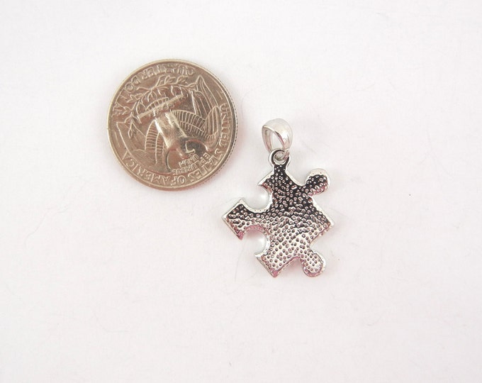 Puzzle Piece Pendant Autism Symbol Silver-tone