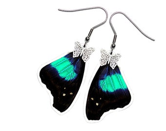 Real Butterfly Wing Earrings (Doxocopa Cherubina Forewing - E171)