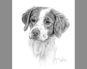 Brittany spaniel art | Etsy