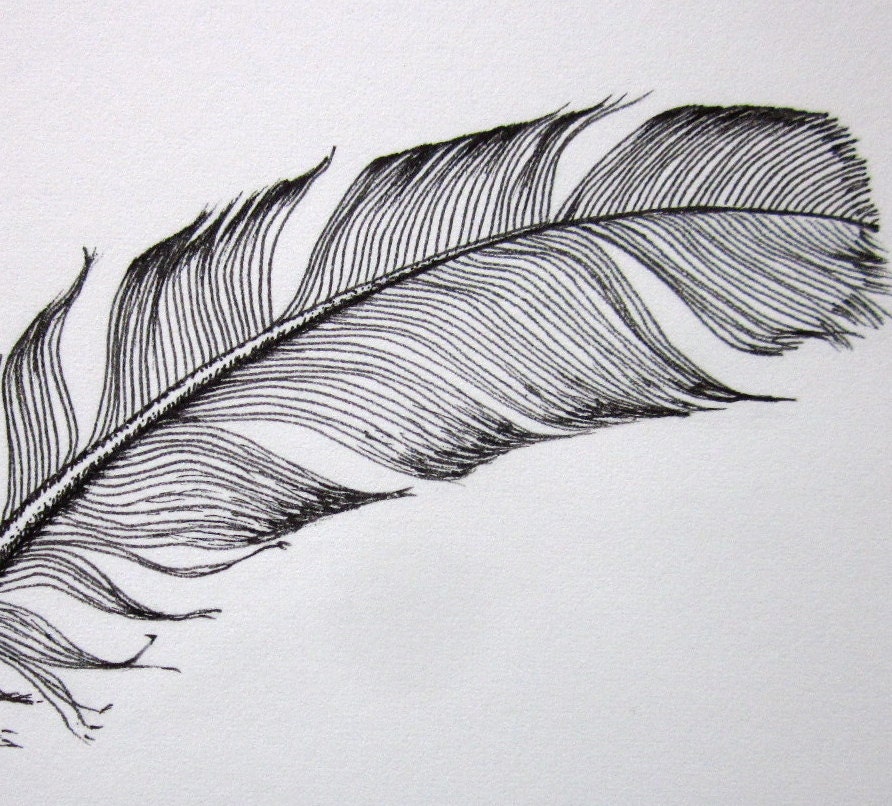 Curved small black feather original ink drawing by AnneLawsonArt
