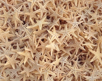 50 Tiny Starfish for Crafting or Decorating - 1/4" - 3/4" Beach Decor star fish