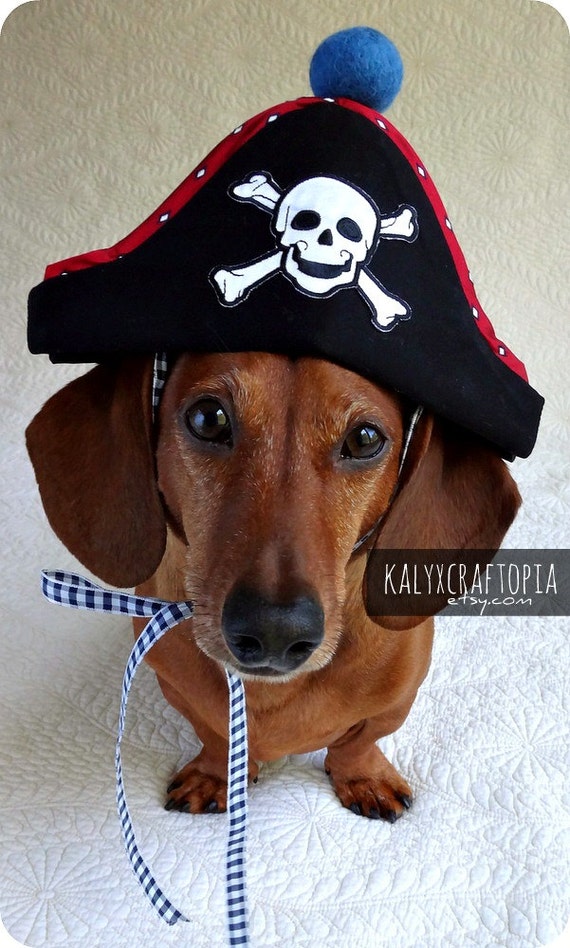 Small Dog Classic Black Pirate Hat