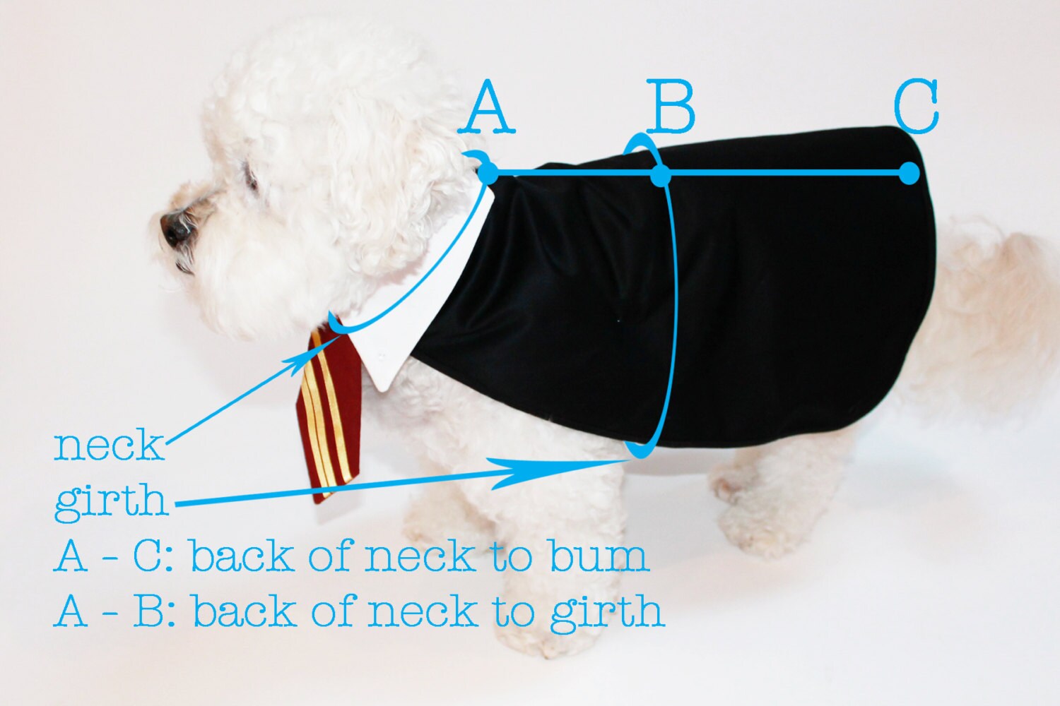 Harry Potter Inspired Dog costume Slytherin Draco Malfoy