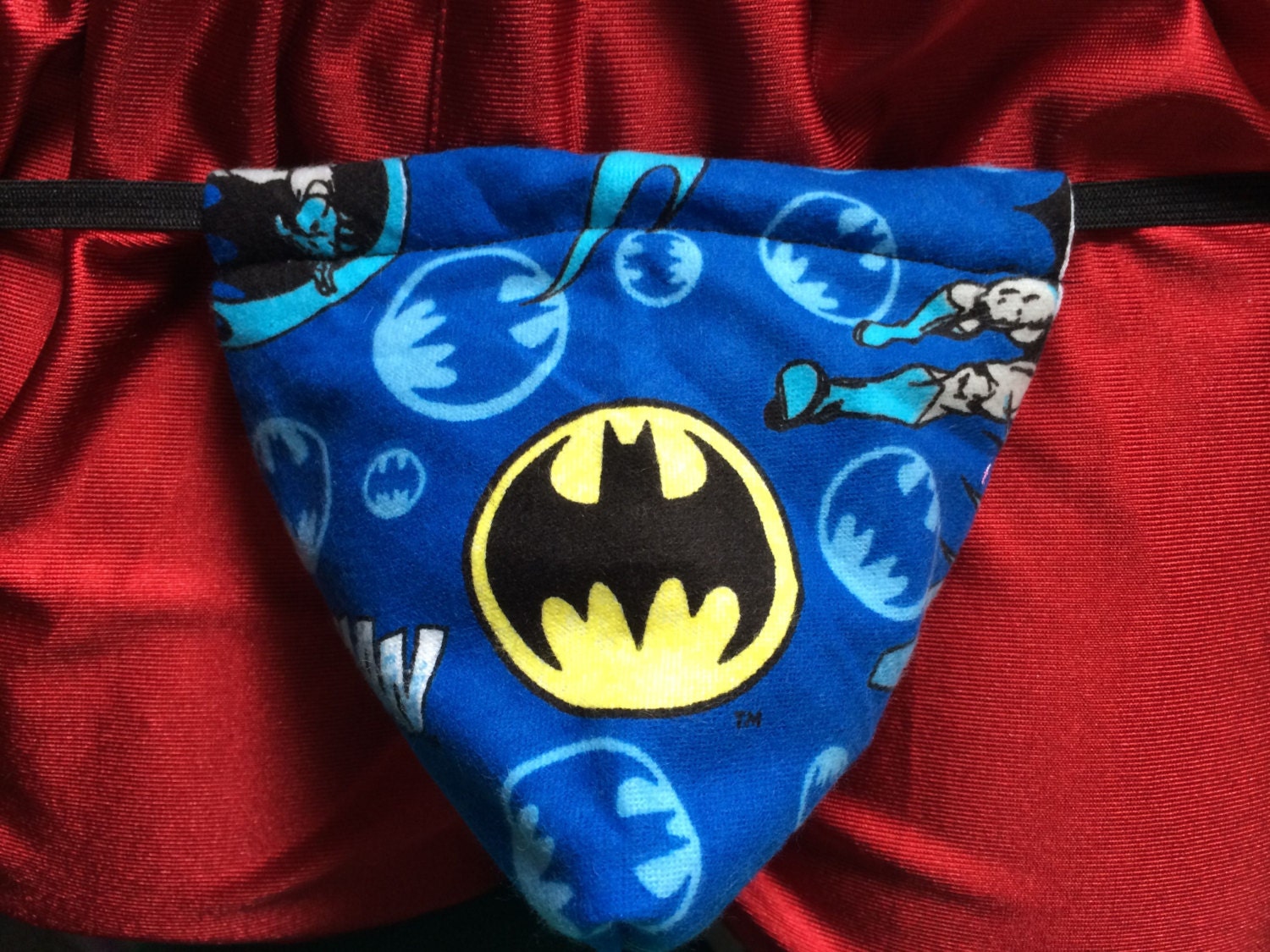 Mens Blue BATMAN GString Comic Book Thong Cartoon Male