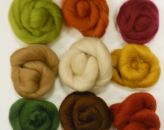 Felting Wools - Merino Wool Tops - EARTH Tones