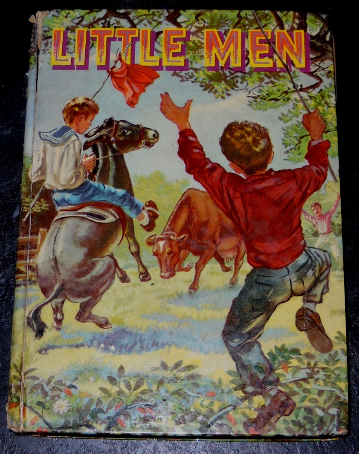 the book little men