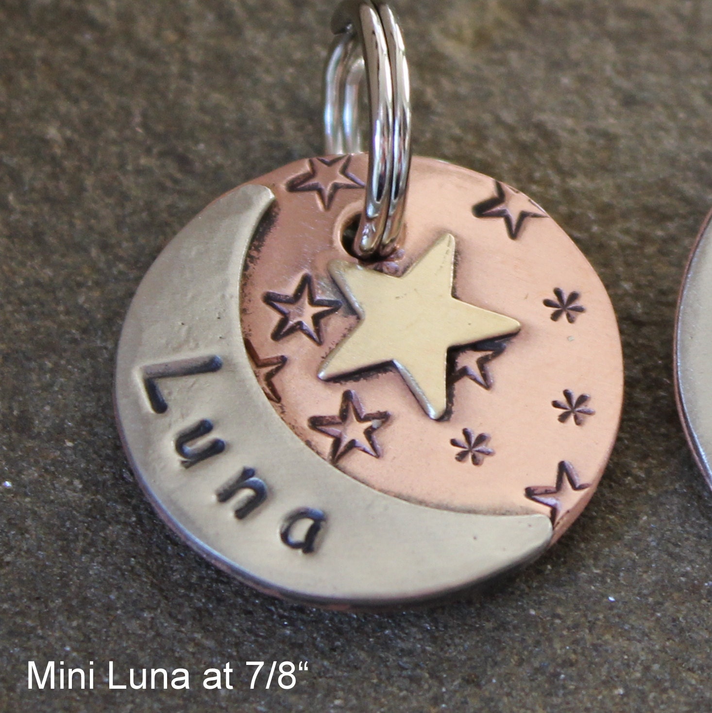 custom dog id tag pet tag with moon and start Luna pet id