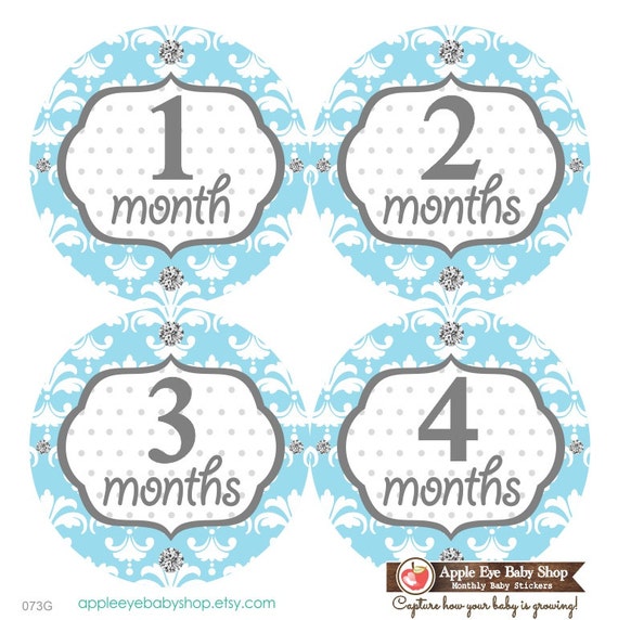 baby month stickers monthly baby stickers baby girl first