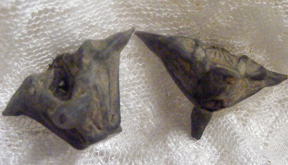 BAT NUT, DEVILS POD, GARGOYLE SEEDS TALISMAN ~ CHARM FOR PROTECTION | eBay