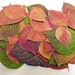 Pink and Green Leaves, , Qty. of 100, Real Pressed Leaves, Crafts