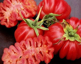 Zapotec ruffled tomato, rare Mexican heirloom, 25 seeds, loves dry heat, sweet flavor, scalloped slices, drought tolerant