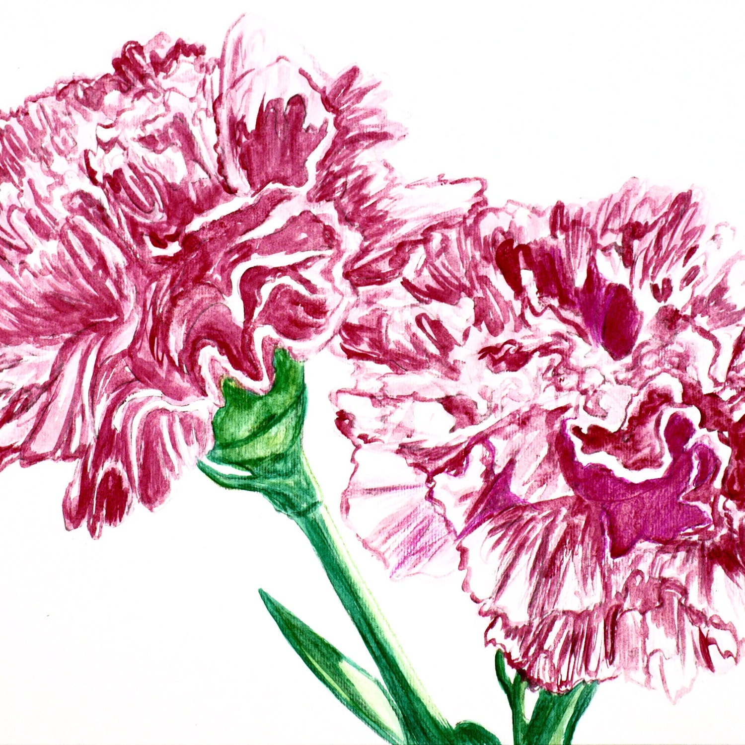 Pink Carnations Watercolour Painting Original Fine By KimLegler