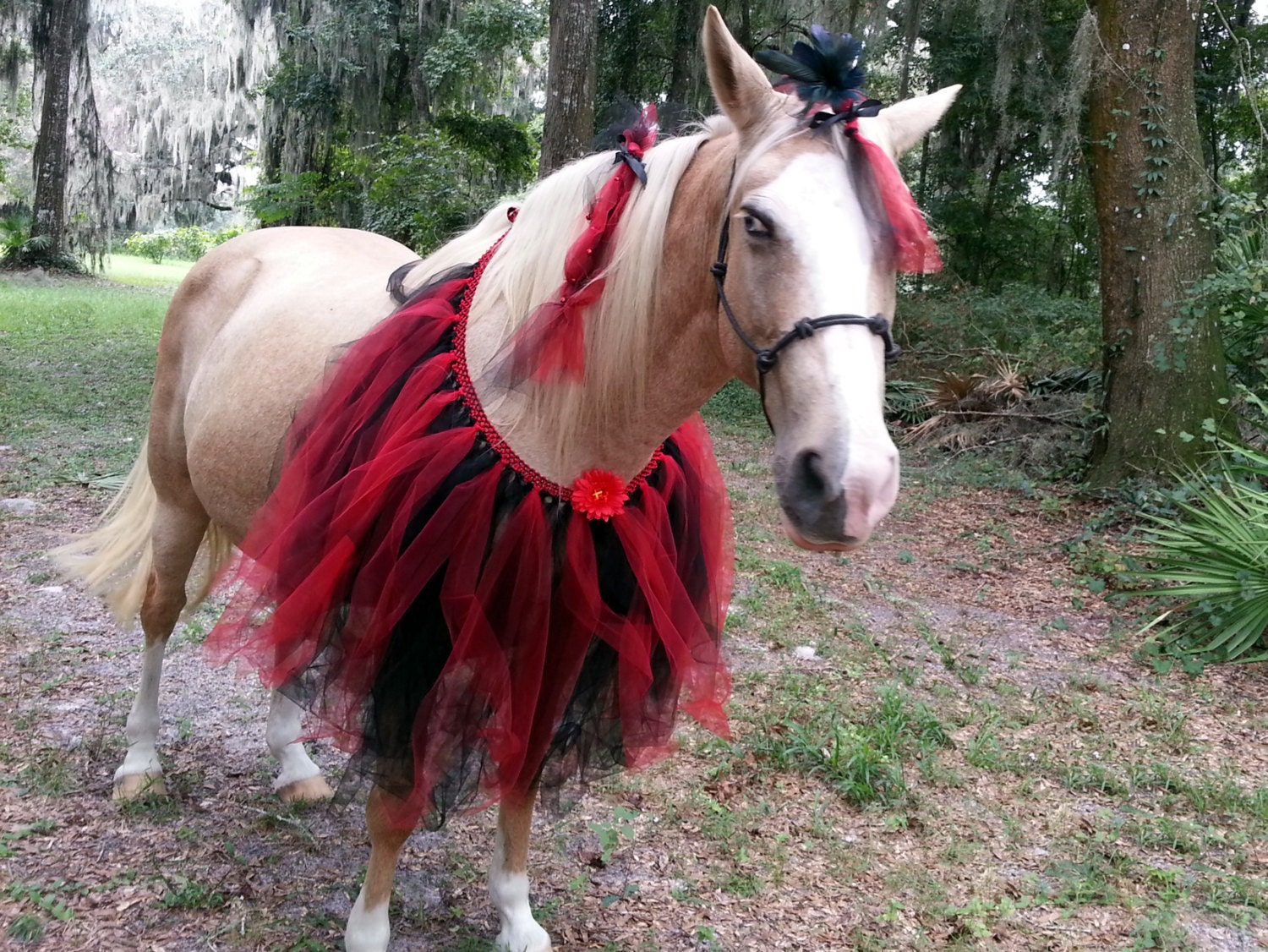 Evil Princess Ballerina Horse Costume Equine Costume