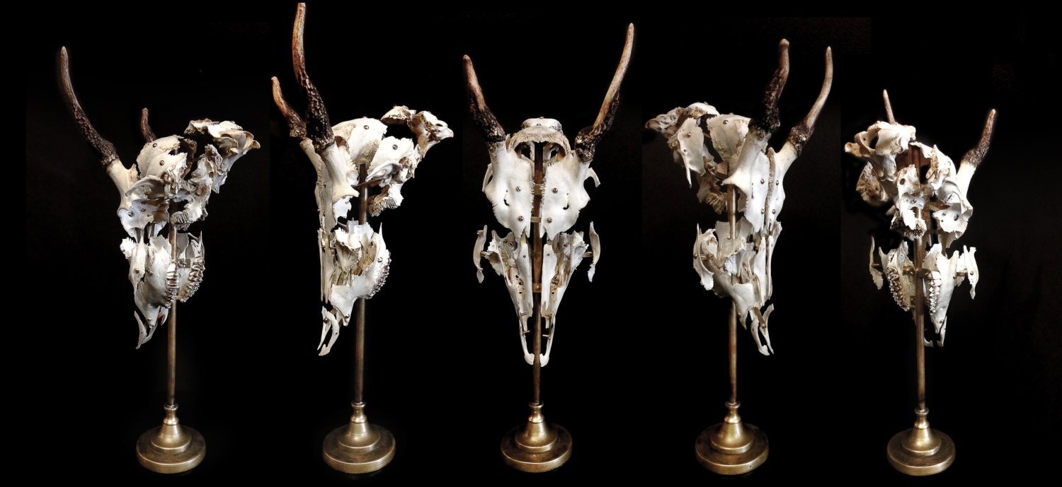It is a photo of Fan Exploded Skull Drawing It's just an image of Fan Exploded Skull Drawing