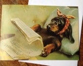 Dachshund Adorable Vintage Repro Get Well Soon Card Dachshund Adorable Vintage Repro Get Well Soon Card