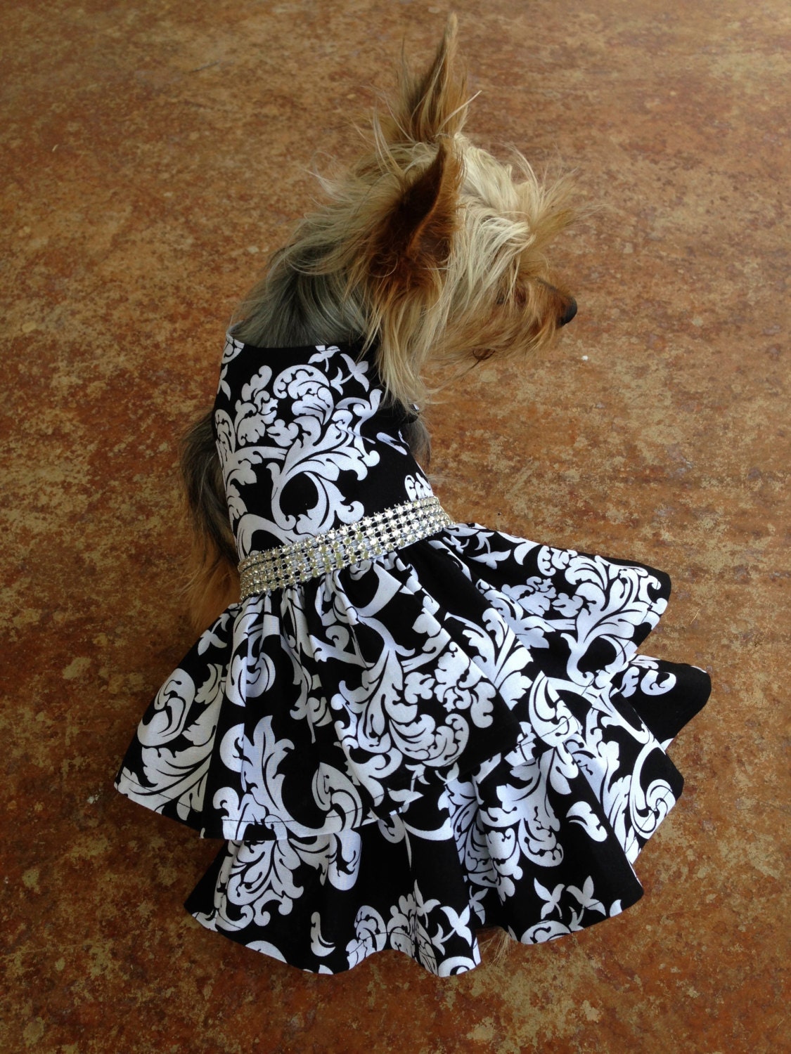 Custom Made Dog Pet Clothing Dress Black by Rufflesforcharli
