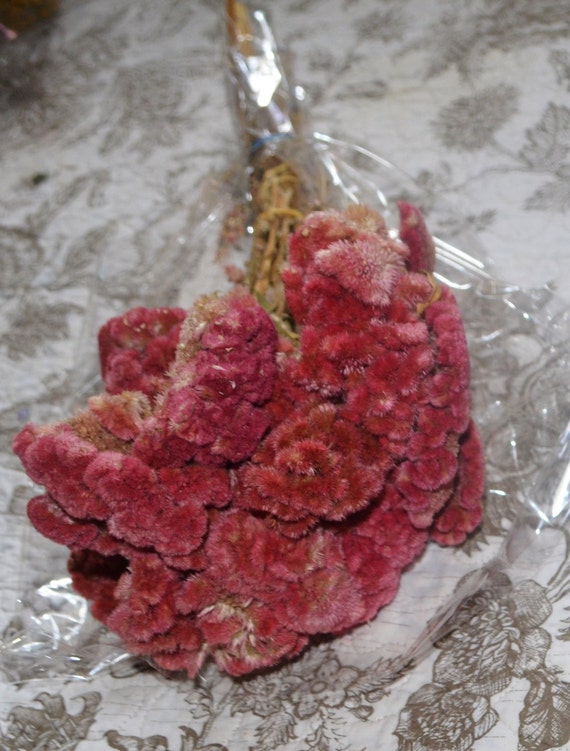 Fresh Cut andl Dried Pink Flowers by ArtistryinFlorals