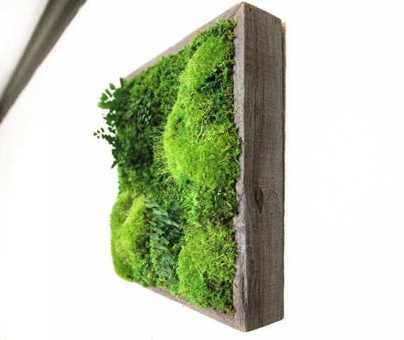 Plant Painting- No Care Green Wall Art. Real Preserved Plants. 12