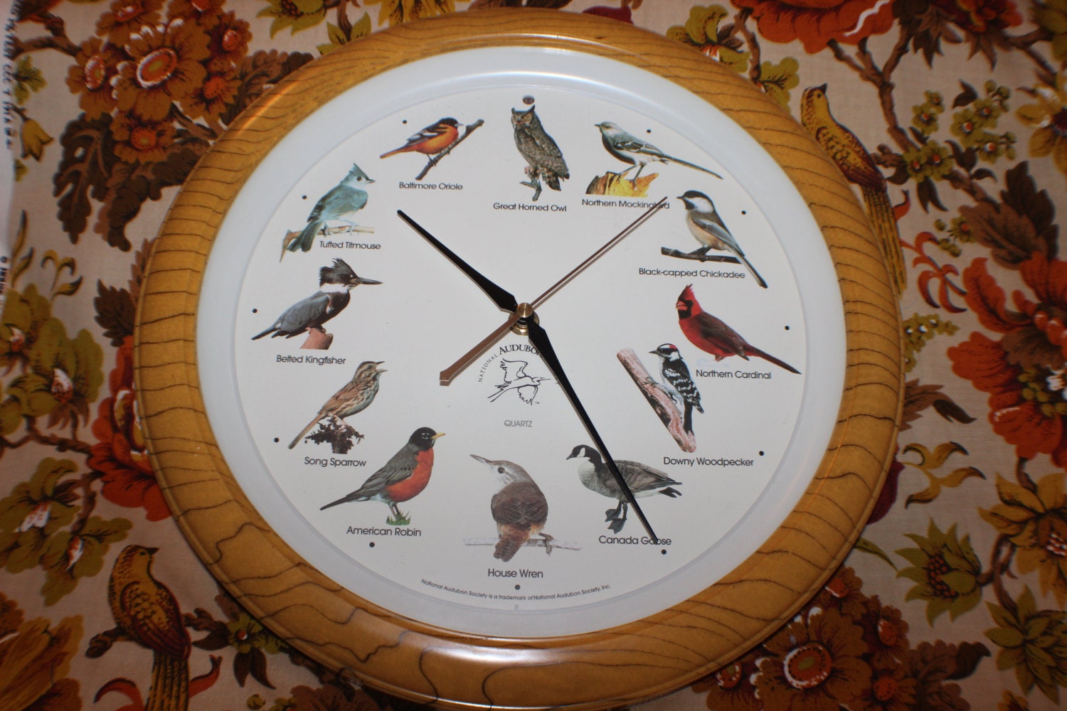 National Audubon Society Singing Bird Clock Plays Bird Song