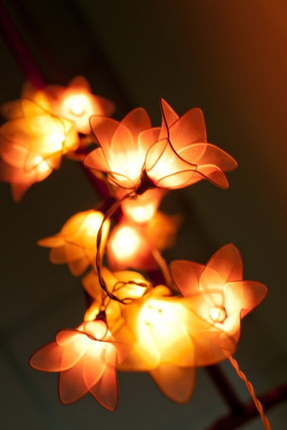 20 Battery Powered LED Handmade Flower String Lights light