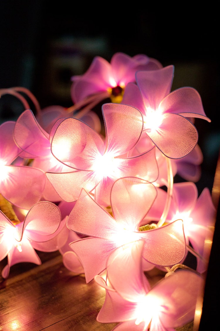 20 Purple Flower String Lights for Party Wedding by smilecotton