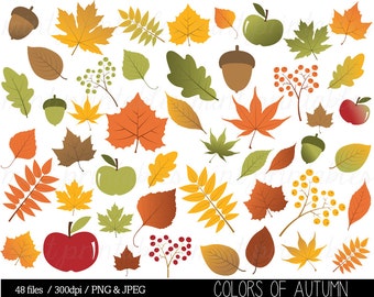 Autumn Leaf Clipart, Fall Leaves Clip Art, Thanksgiving, Branches, Berries, Acorn, Colorful - Commercial & Personal - BUY 2 GET 1 FREE!
