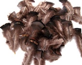 Turkey, Feathers, Wild, Natural Craft, Fly, Tying, Material, Jewelry, Supply, Hat, Decor, Maribou, Hackle, Wing, Artificial, Lure, Jig, Tail Turkey, Feathers, Wild, Natural Craft, Fly, Tying, Material, Jewelry, Supply, Hat, Decor, Maribou, Hackle, Wing, Artificial, Lure, Jig, Tail