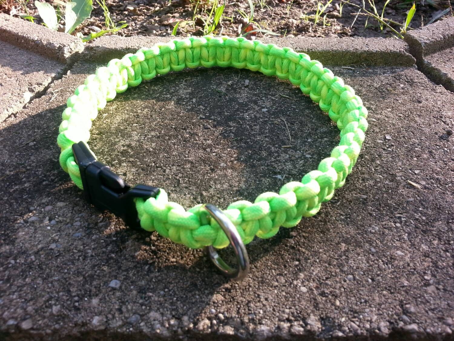 Paracord dog collar