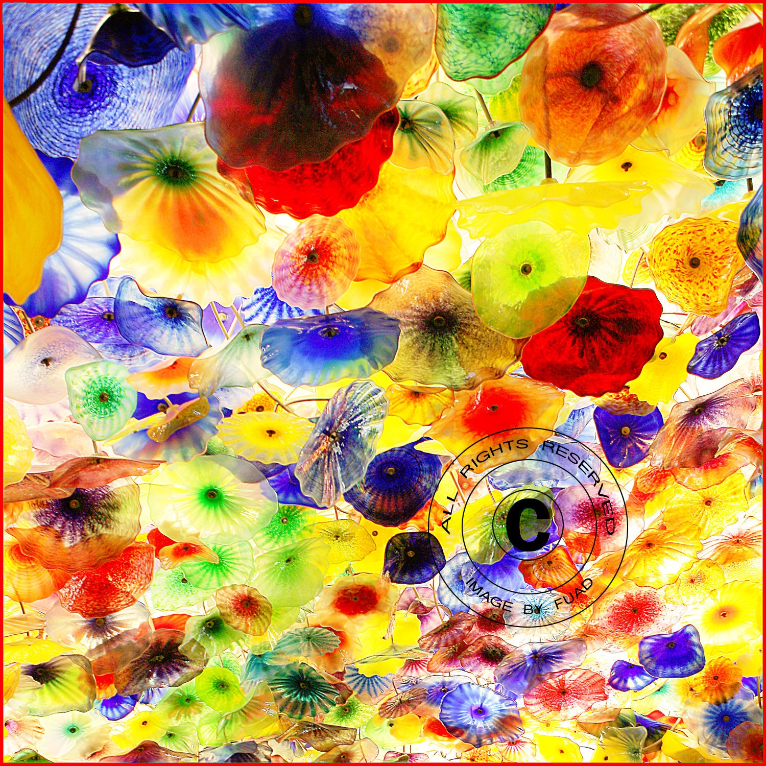 Bellagio Ceiling chihuly Blown Glass Art by FuadAzmatPhotography