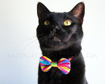 Girl Cat Bow Tie - Rainbow Carnival