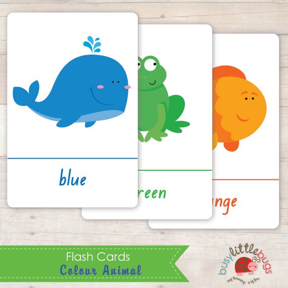 Colour Animal Flash Cards 4 x 6 inch by on Etsy