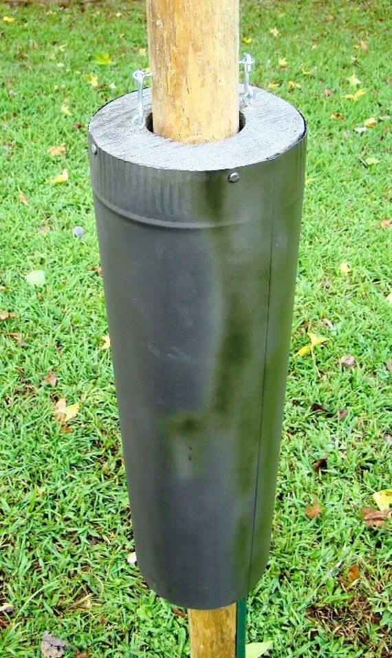 bird feeder baffles and bird house pole predator guards bird feeder baffles and bird house pole predator guards