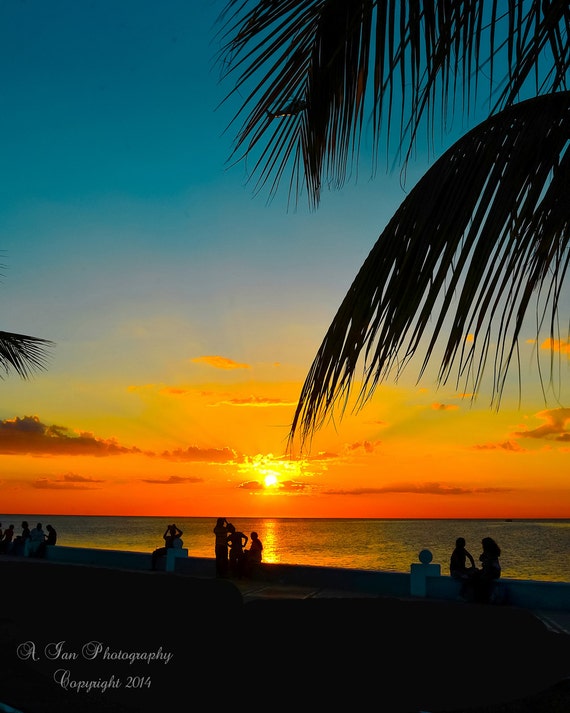 Tropical BEACH  Escape Palm  Trees  Brilliant Colorful  SUNSET 