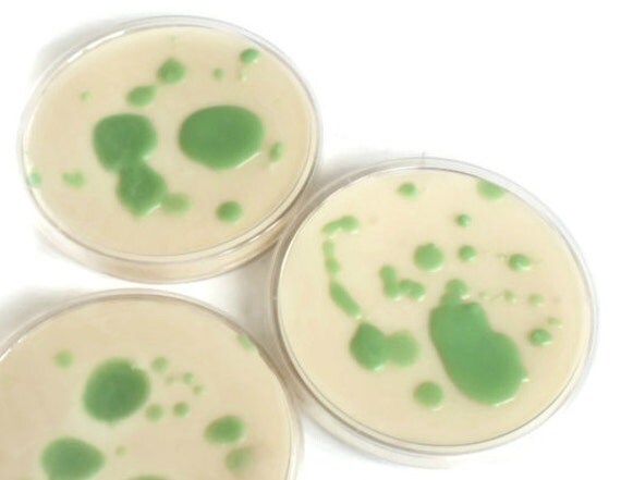 Petri Dish Soy Wax Tarts. Anthrax, Soy Tart, Soy Wax Tart, Soy Candle, Tarts, Wax Melts, Geek, Science Candle, Geeky Gift, Candles,Soy,