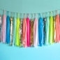 Extra Long - Neon and Pastel Confetti Tassel Garland