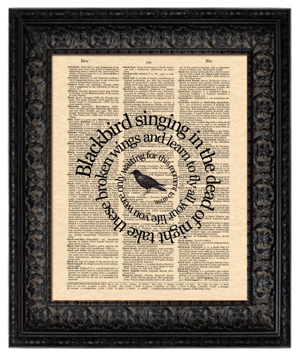 The Beatles Blackbird Song Lyric Art Print by WordsandMusicArt
