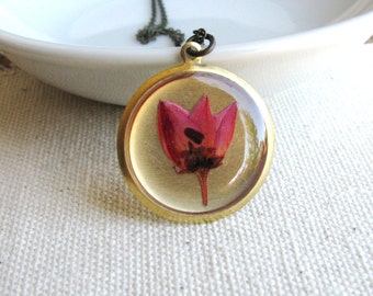 Pressed Flower Necklace Botanical Jewelry Pressed Coral Pink Boronia Plant Resin Woodland Garden Chic Naturalist Gift