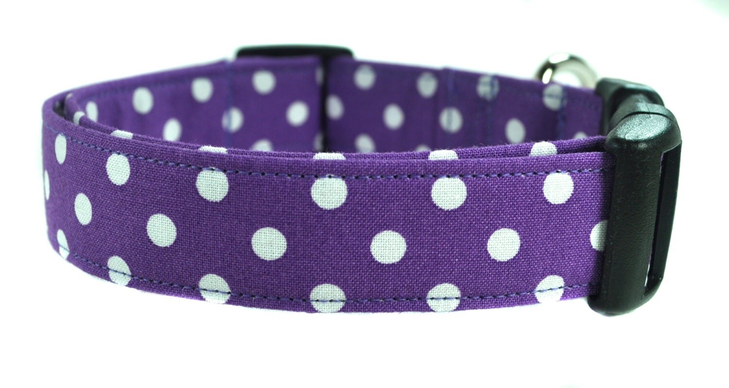 Purple Polka Dot Dog Collar