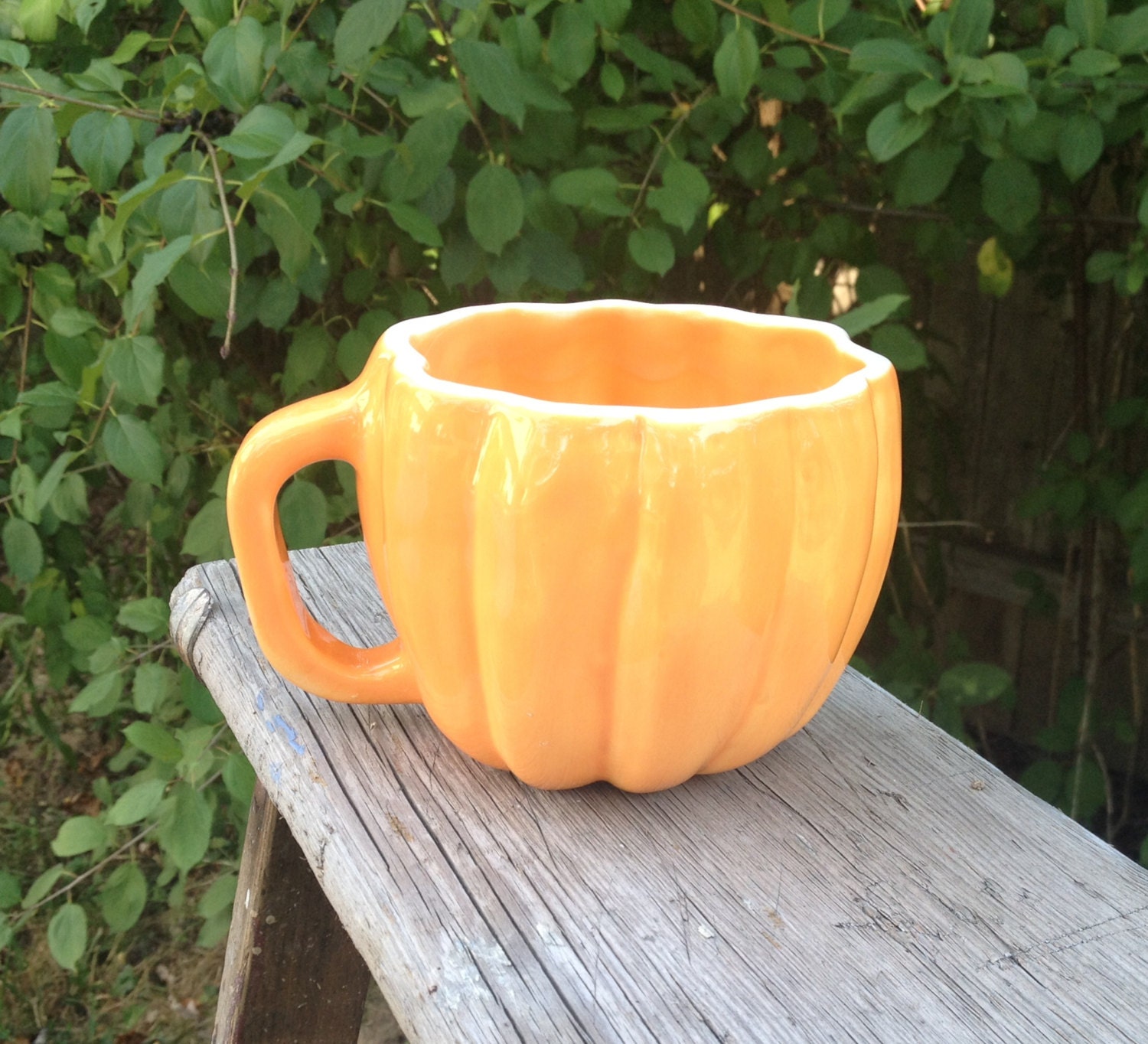 Pumpkin Mug