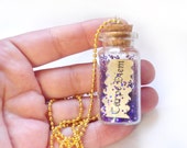 seize the day necklace, carpe diem, message in a bottle, red cord, free shipping, glitter, old look paper, make a wish