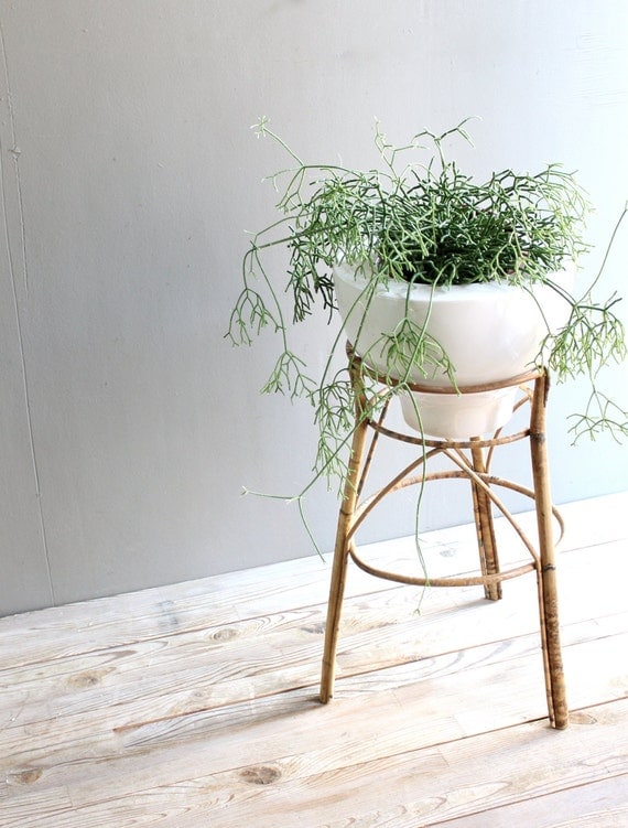 Vintage Rattan Plant Stand