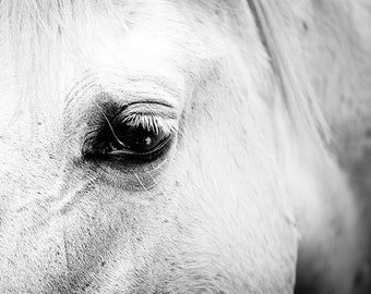 horse art horse decor Black white horse photography horse wall art black white horse print nature photography fine art country home decor