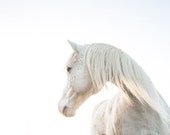 White horse photography, white horse art print. Whisical horse for little girls room decor, nursery wall art photograph gift for horse lover